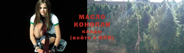 дмт Алексин