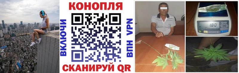 Бошки Шишки OG Kush ссылка на мегу зеркало Всеволожск